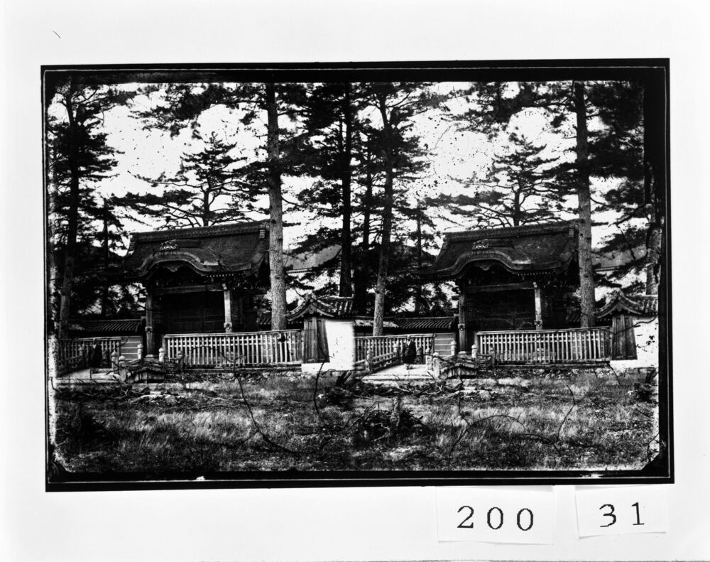 作品画像:大覚寺 唐門