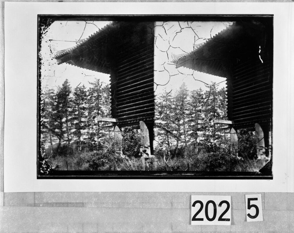 作品画像：正倉院