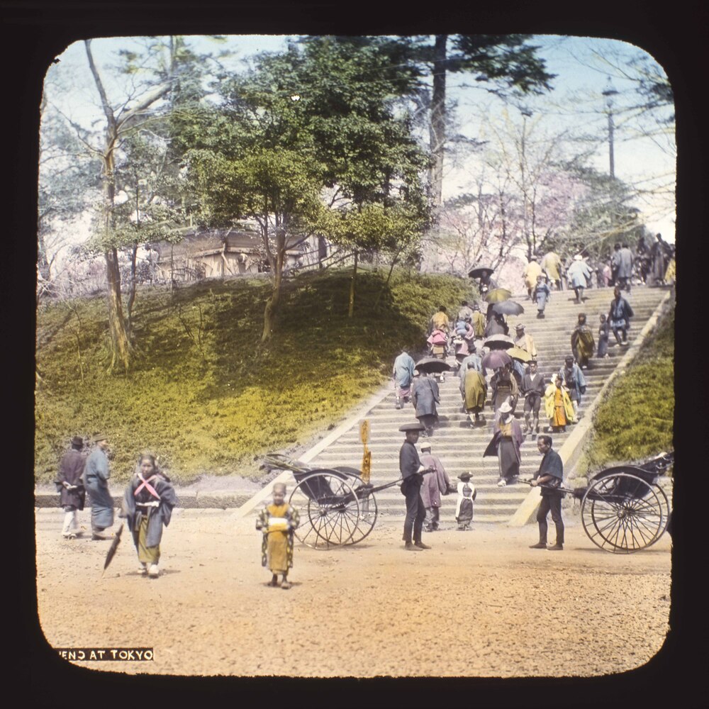 作品画像:上野