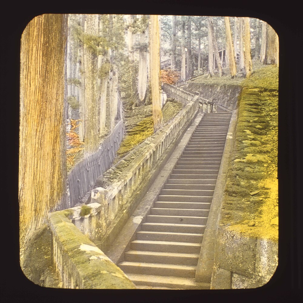 作品画像:杉並木の中の石段