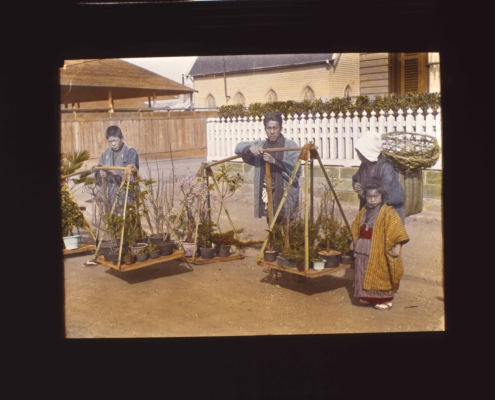 植木売り