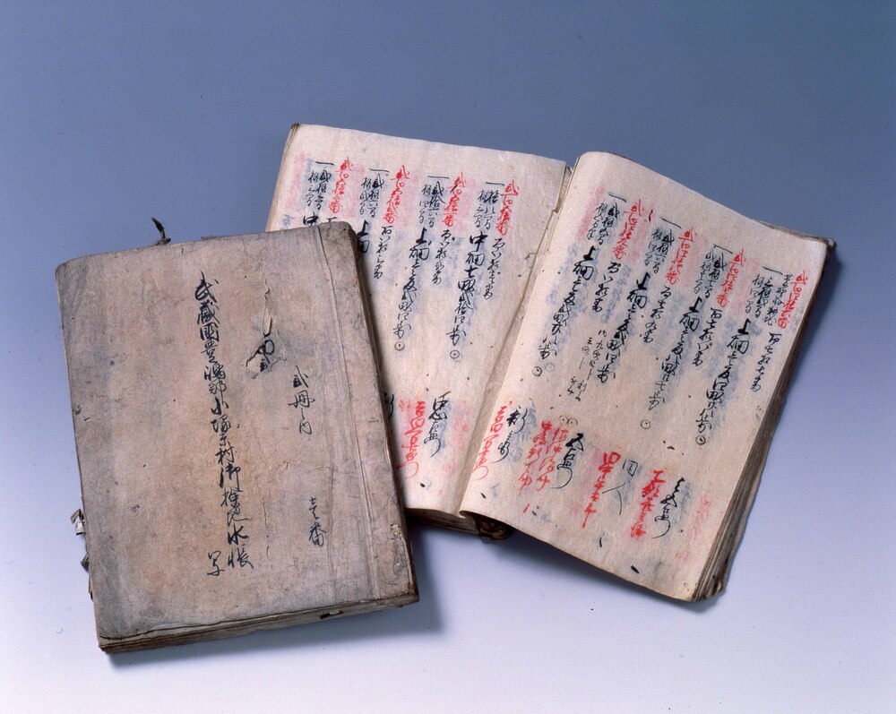 作品画像：武蔵国豊嶋郡小塚原村御検地水帳写 弐番