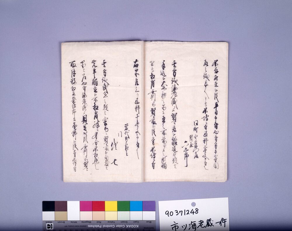 作品画像：市川海老蔵一件（奢多禁令違反により町役人共々処罰申渡）