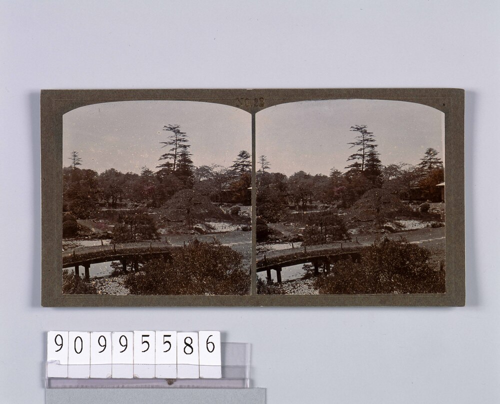 作品画像：東京植物園(小石川植物園)(二)(No.22)