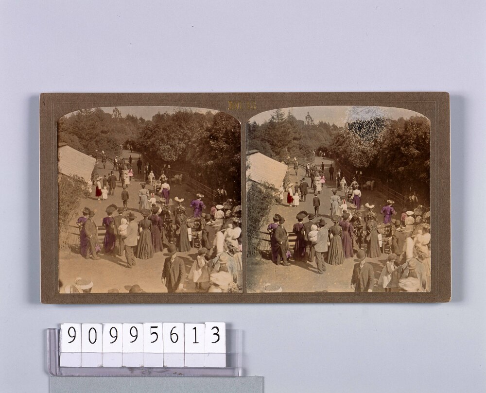 作品画像:桑港黄金公園(ゴールデンパーク)(二)(No.36)