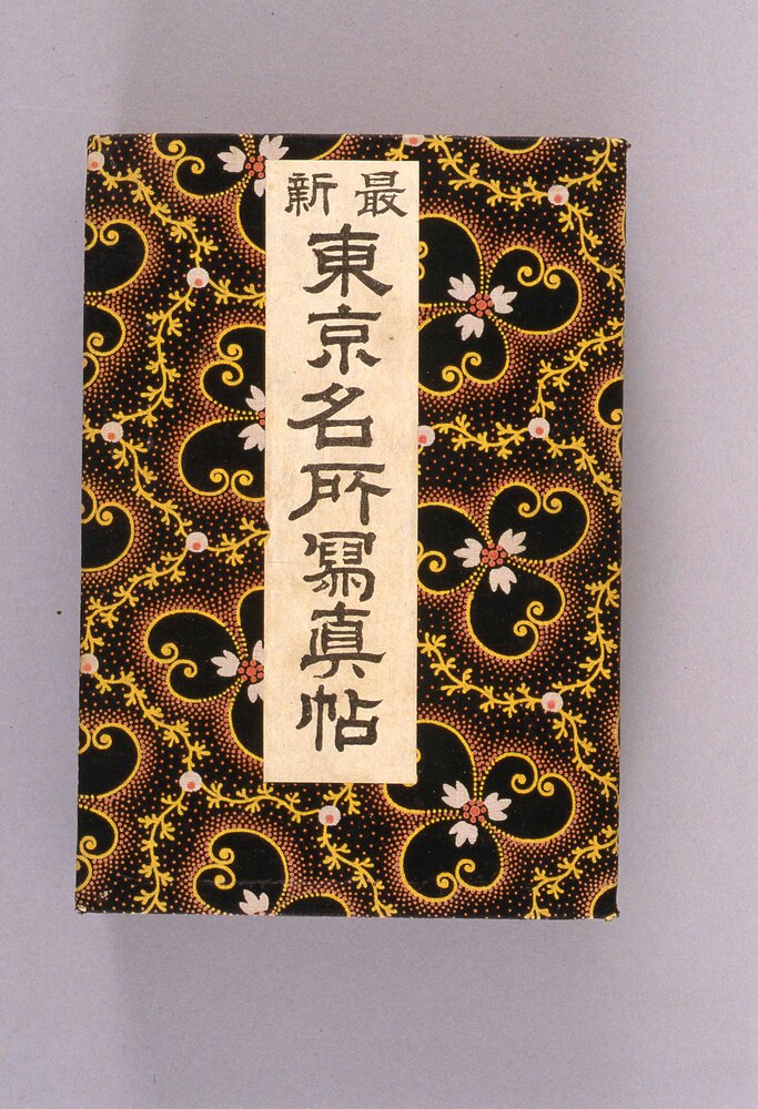 作品画像：最新東京名所写真帖