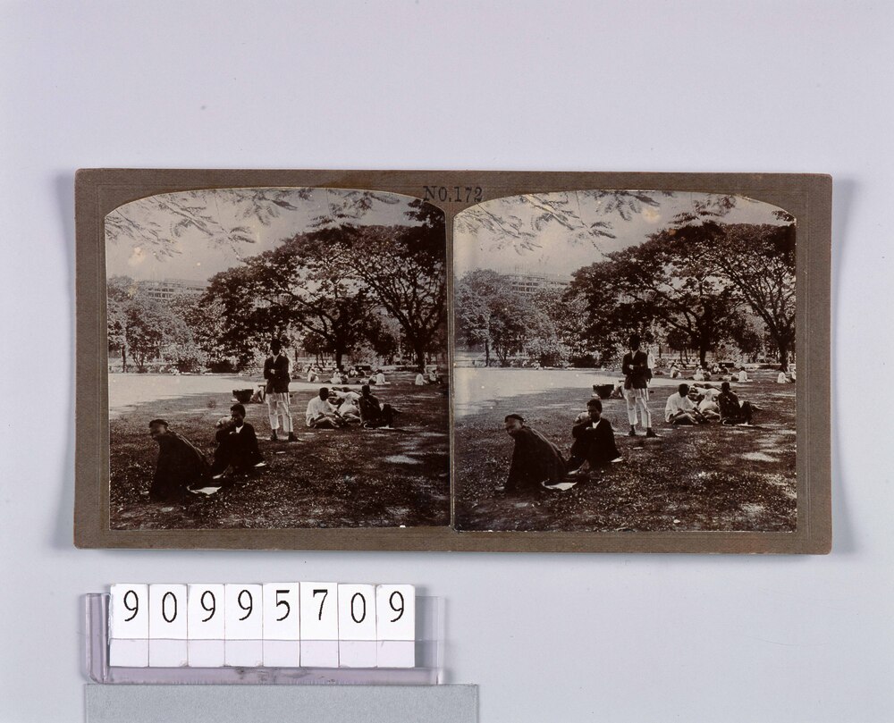 作品画像:ラングーン市内の公園(No.172)