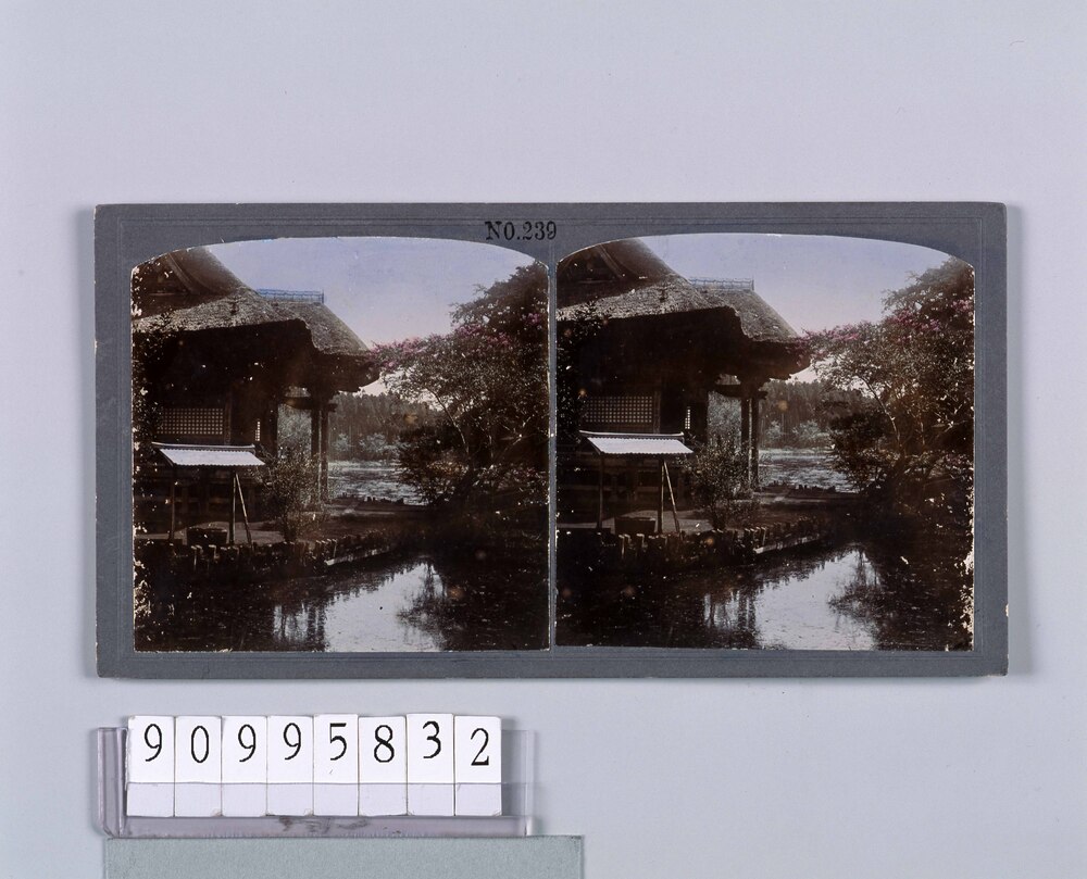作品画像:井の頭弁財天(No.239)