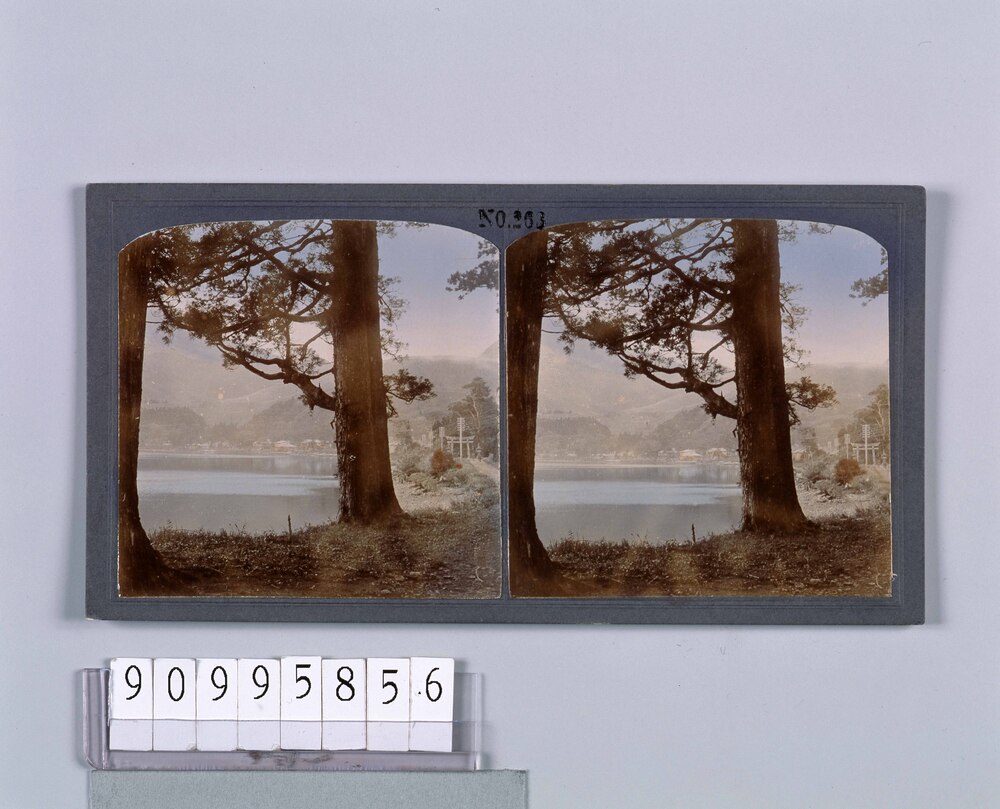 作品画像:箱根蘆の湖(No.263)