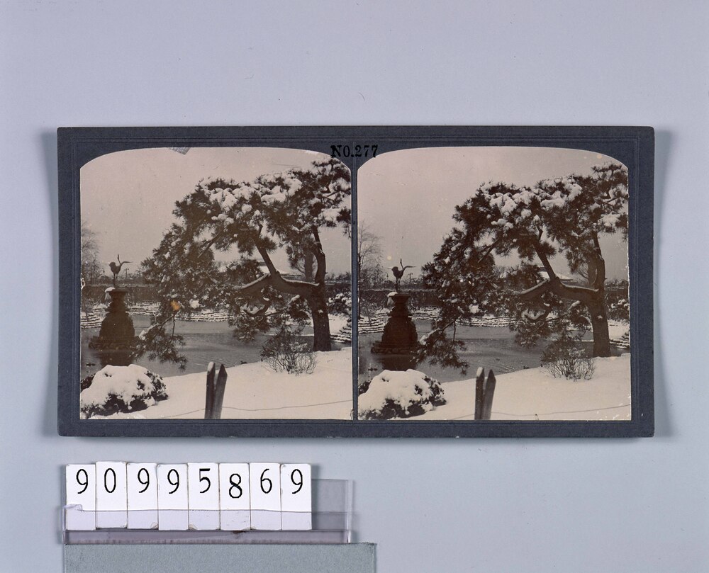 作品画像:日比谷公園池辺の雪景(No.277)