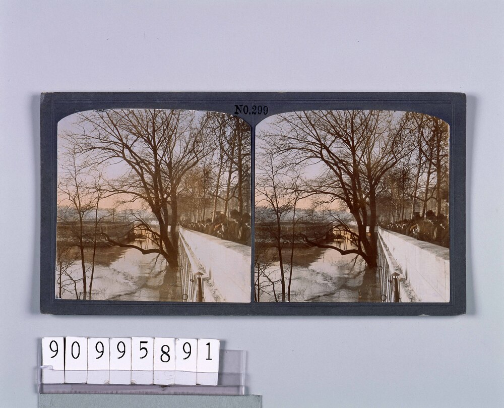 作品画像：パリ、大洪水(一)(1910年1月)(No.299)