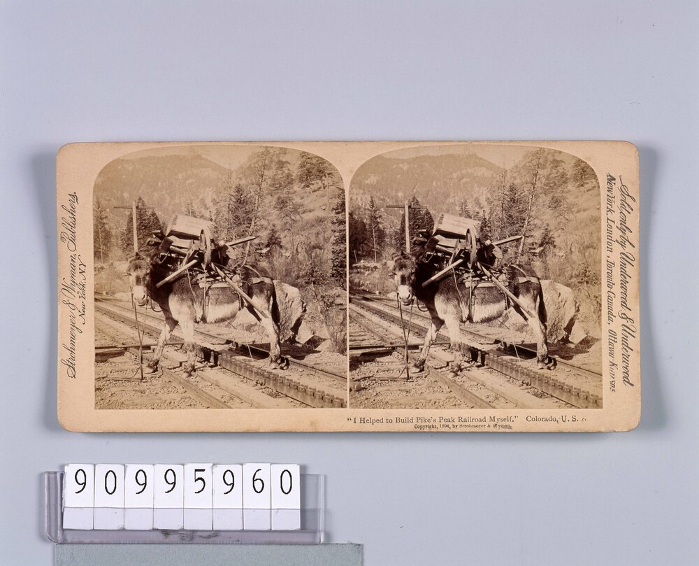作品画像：外国製ステレオ写真　“I Helped to Build Pike’s Peak Railroad Myself,Colorado,U.S.A.