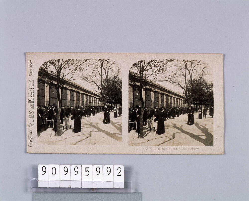 作品画像:外国製ステレオ写真集 Paris,Jardin de Plantes.La menagerie