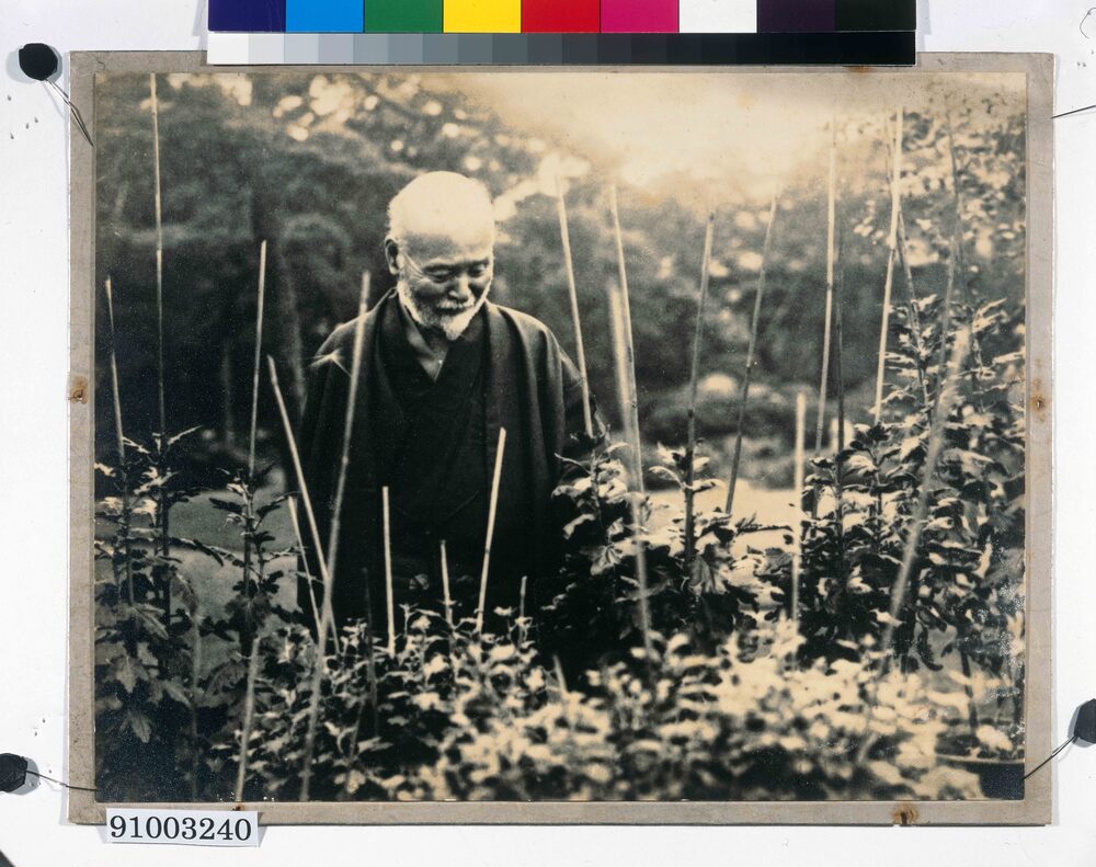 作品画像：高橋是清写真（庭先にて）