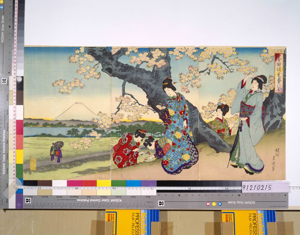 作品画像:墨田堤花盛の図