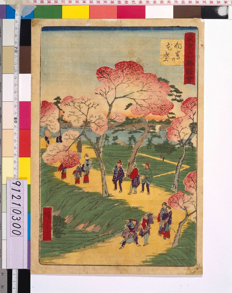 作品画像：東京名勝図絵 向嶋の花盛