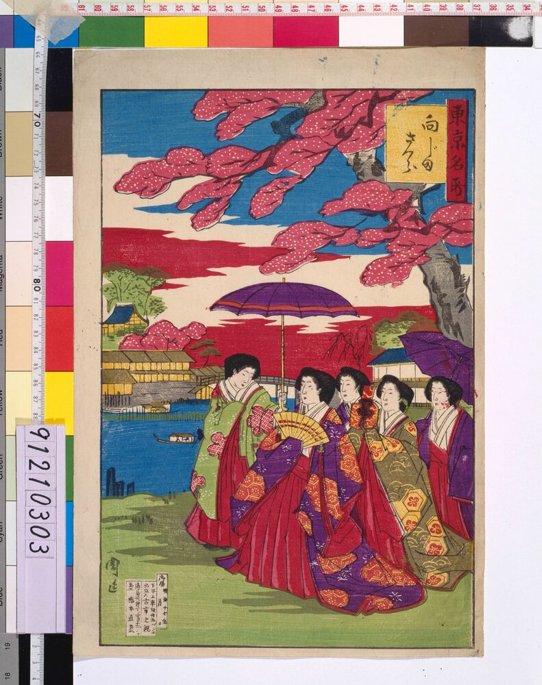 作品画像:東京名所 向じまさくら