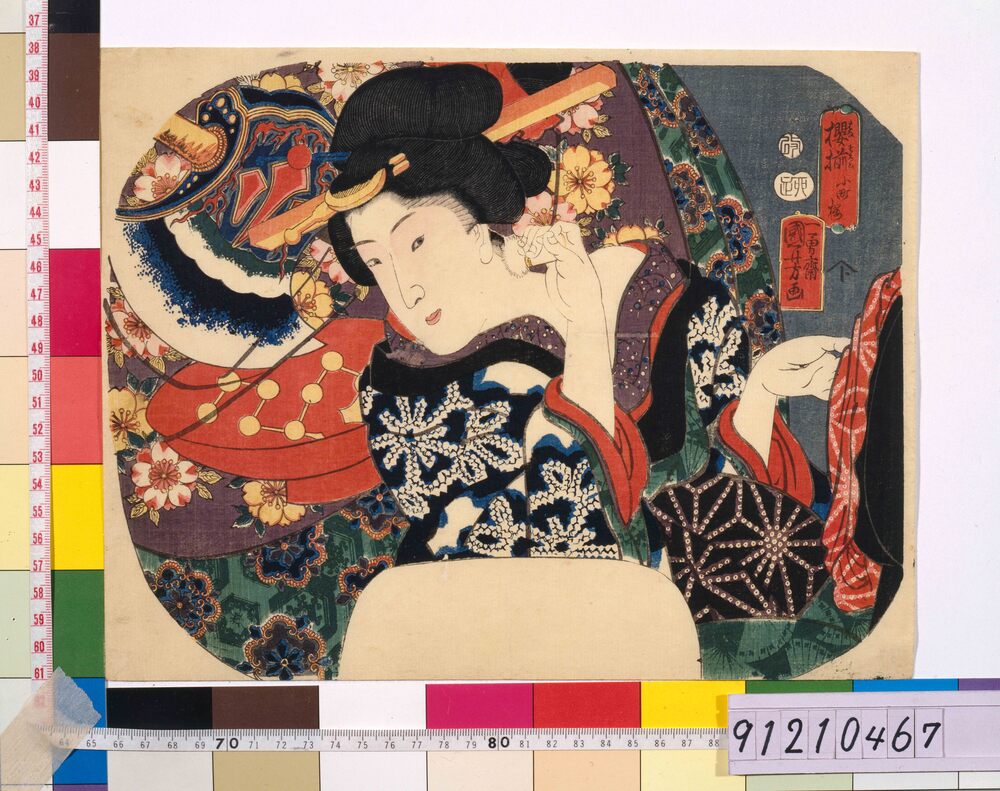 作品画像:桜揃 小町桜
