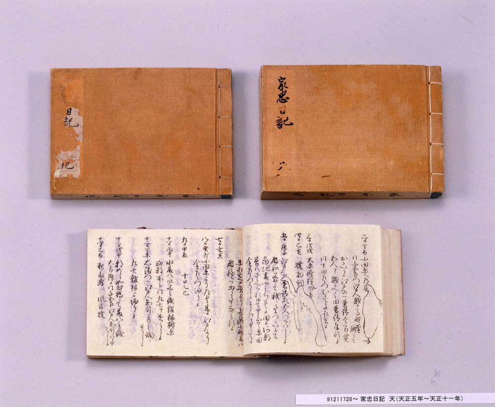 作品画像:家忠日記