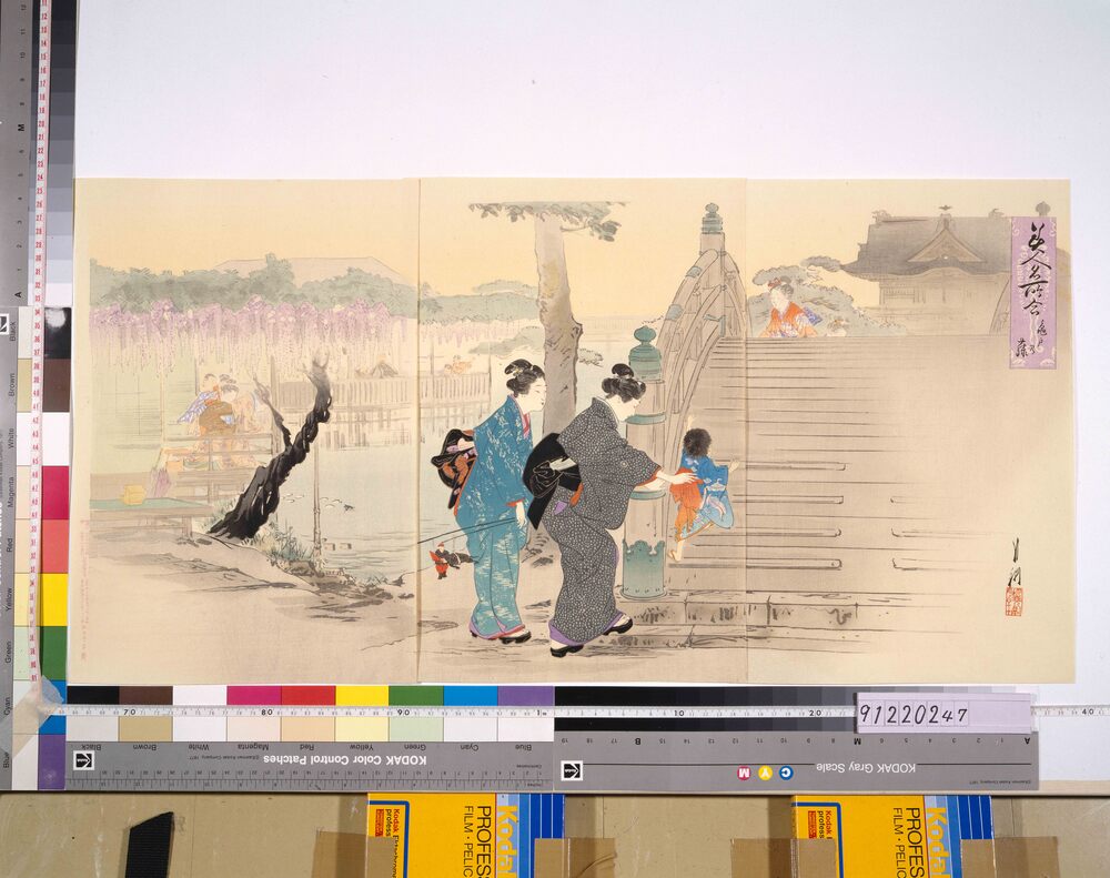 作品画像:美人名所合 亀戸の藤