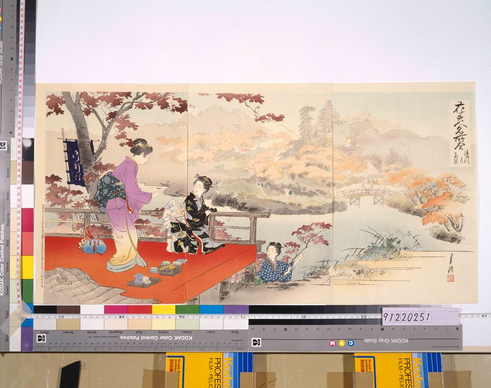 作品画像:花美人名所合 瀧の川の紅葉