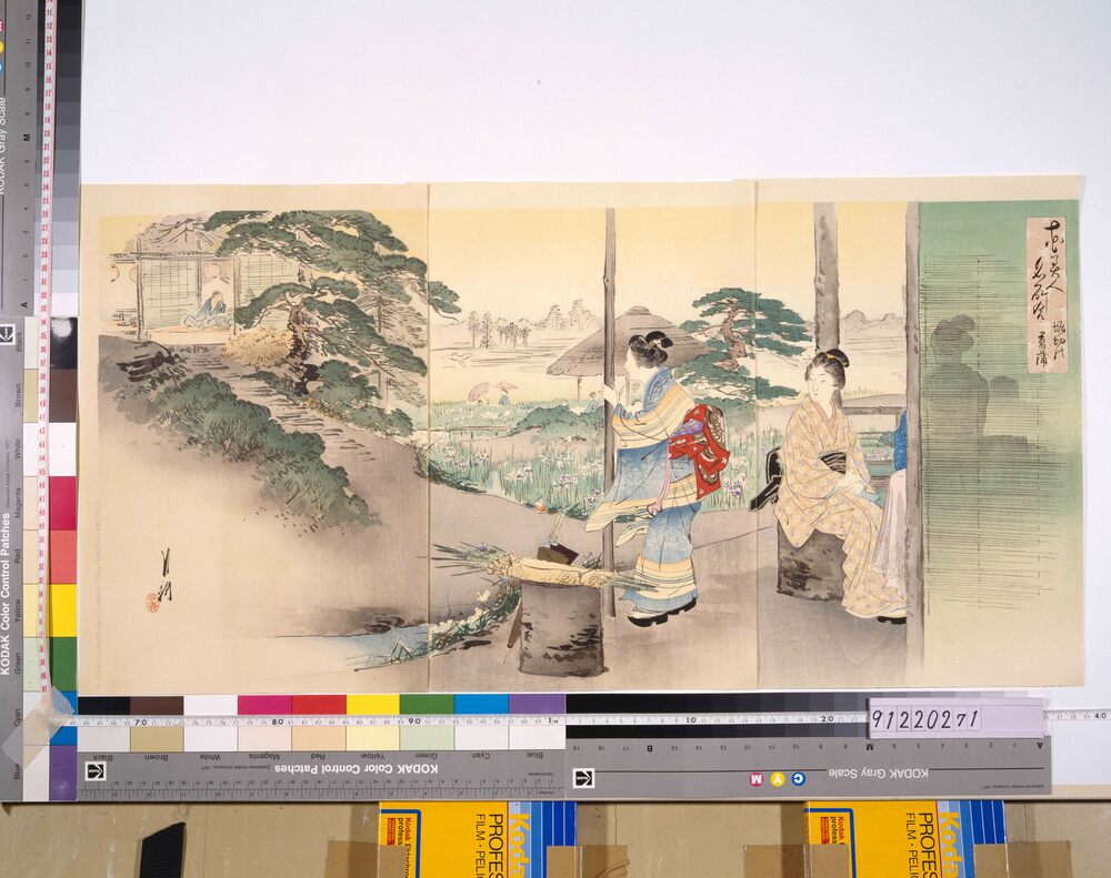作品画像:花美人名所合 堀切の菖蒲