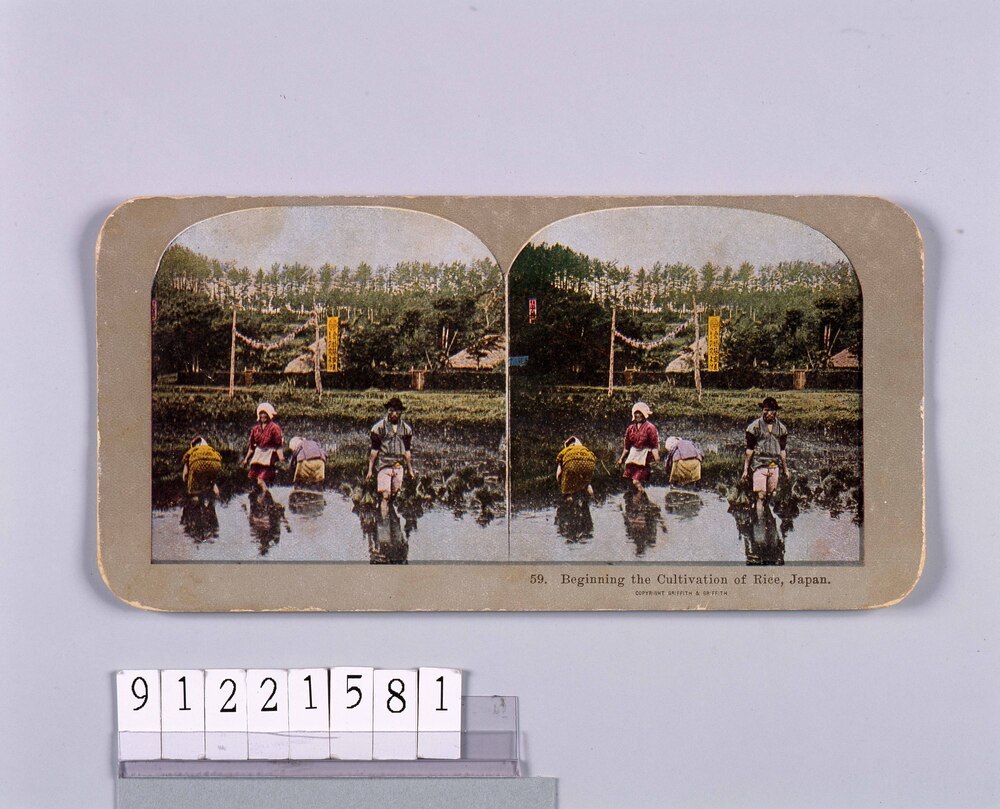 作品画像：Beginning the Cultivation of Rice,Japan.59