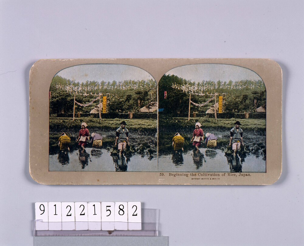 作品画像:Beginning the Cultivation of Rice,Japan.59