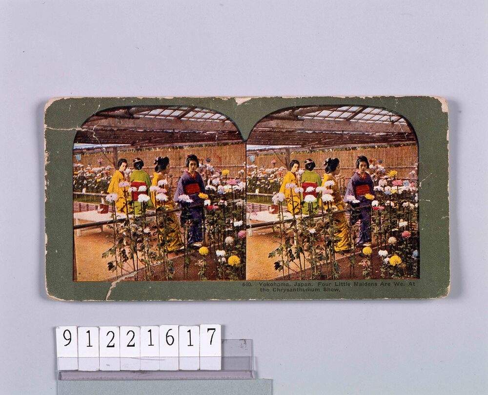 作品画像:Yokohama,Japan.Four Little MaidensAre We.At the Chrysantheumun Show.640