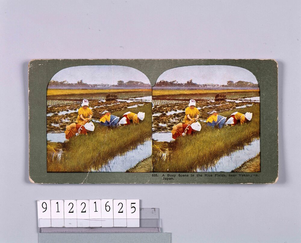作品画像:A Busy Scene in the Rice Fields,near Yokohama,Japan.635