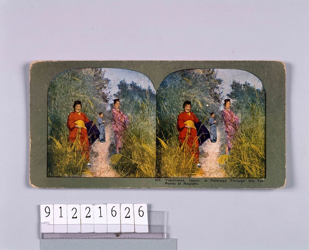 作品画像:Yokohama,Japan.A Pathway Through the Tall ReedsAt Nogishi.678