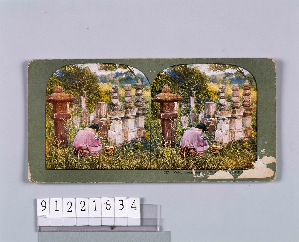 作品画像：Yokohama,Japan.The Garden of Sleep.687