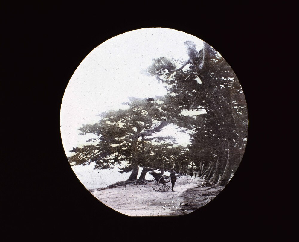 作品画像:名所 播州 磨子