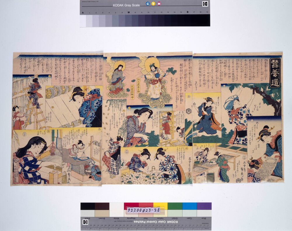 作品画像:蚕養道