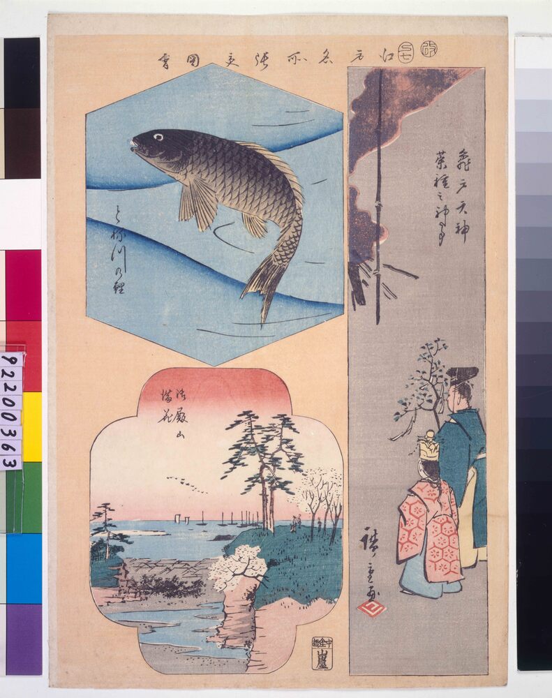 作品画像：江戸名所張交図会 亀戸天神菜種之神事、とね川の鯉、御殿山満花