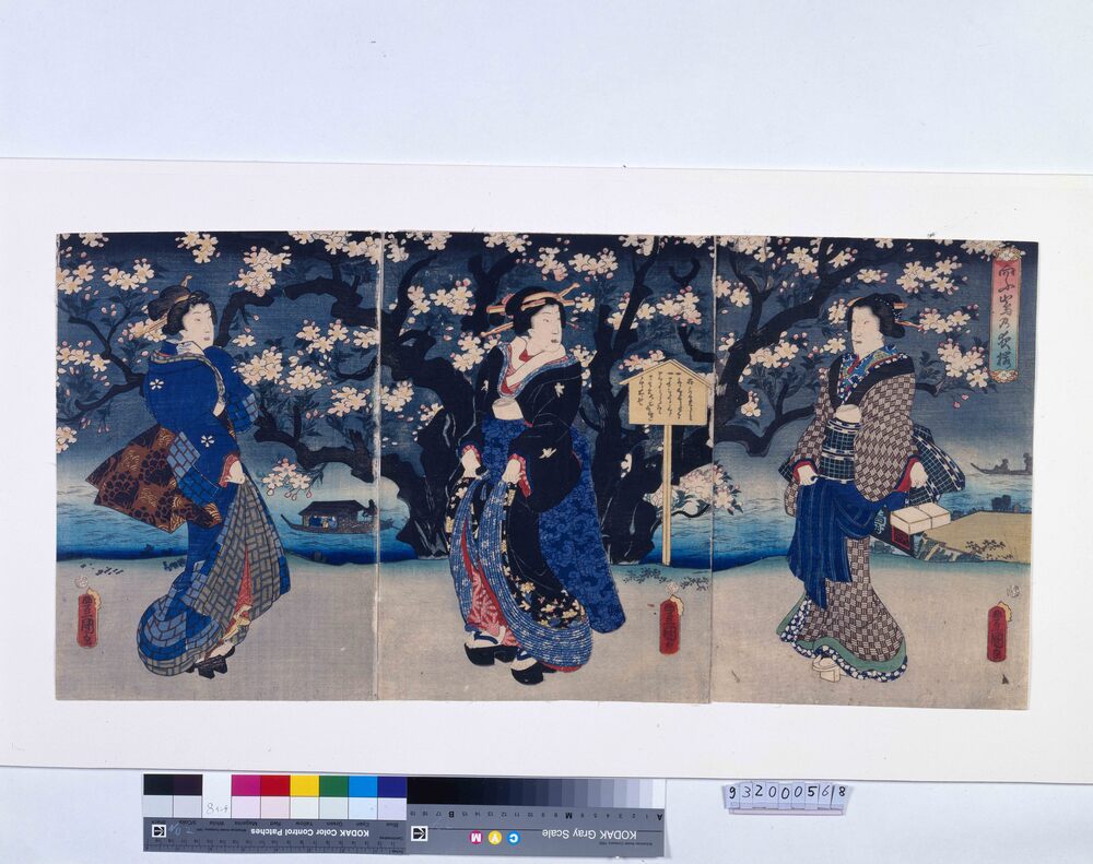 作品画像:向ふ島の夜桜