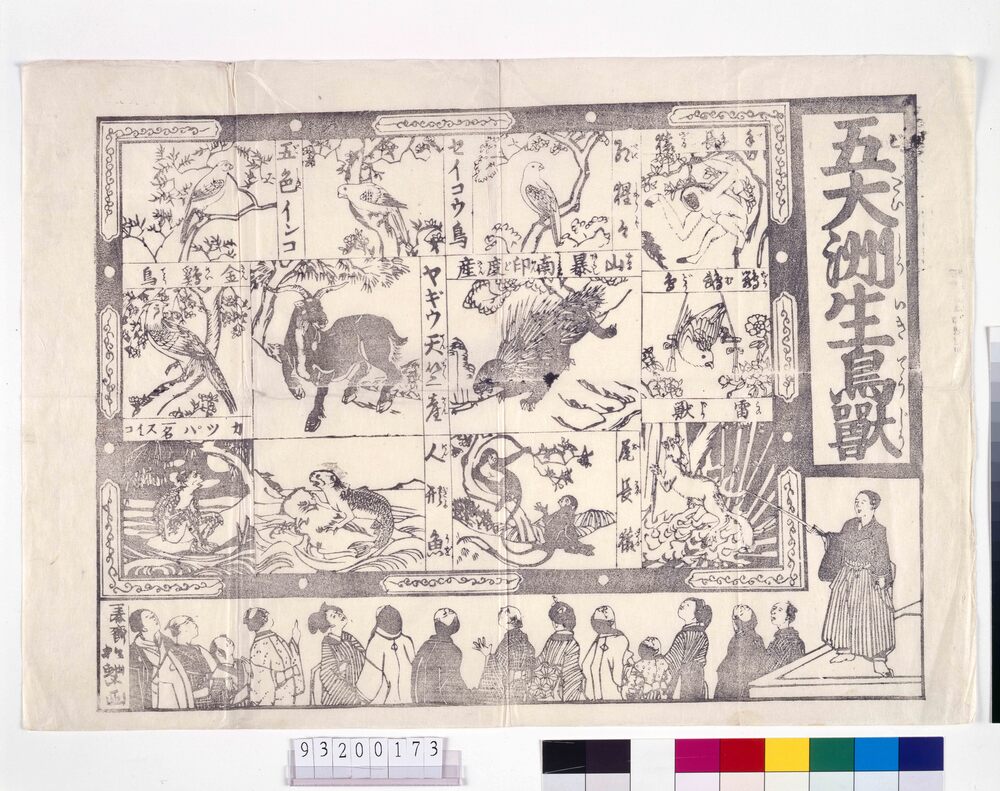 作品画像：五大洲生鳥獣