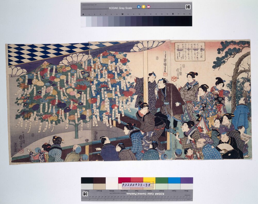 作品画像:百種接分菊
