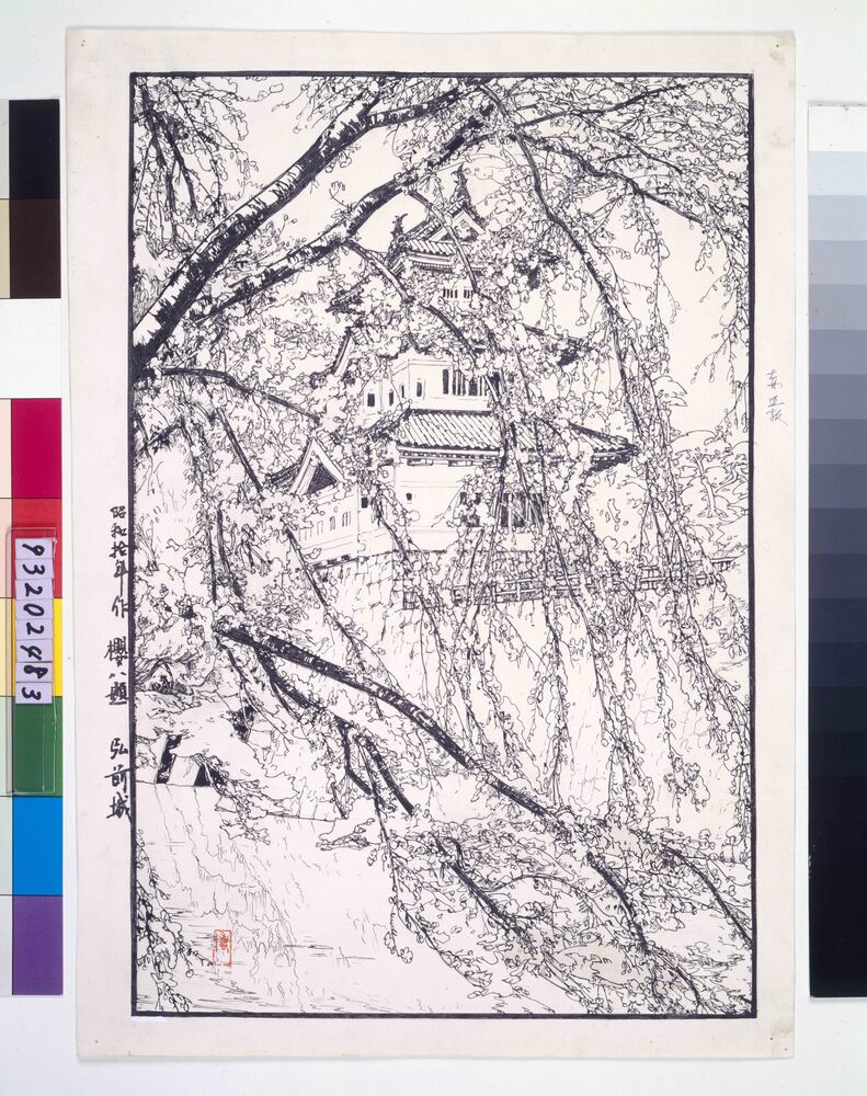 作品画像：桜八題 弘前城 原画