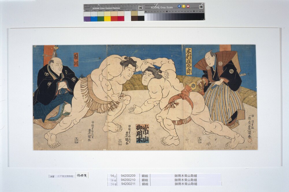 作品画像:御用木常山取組