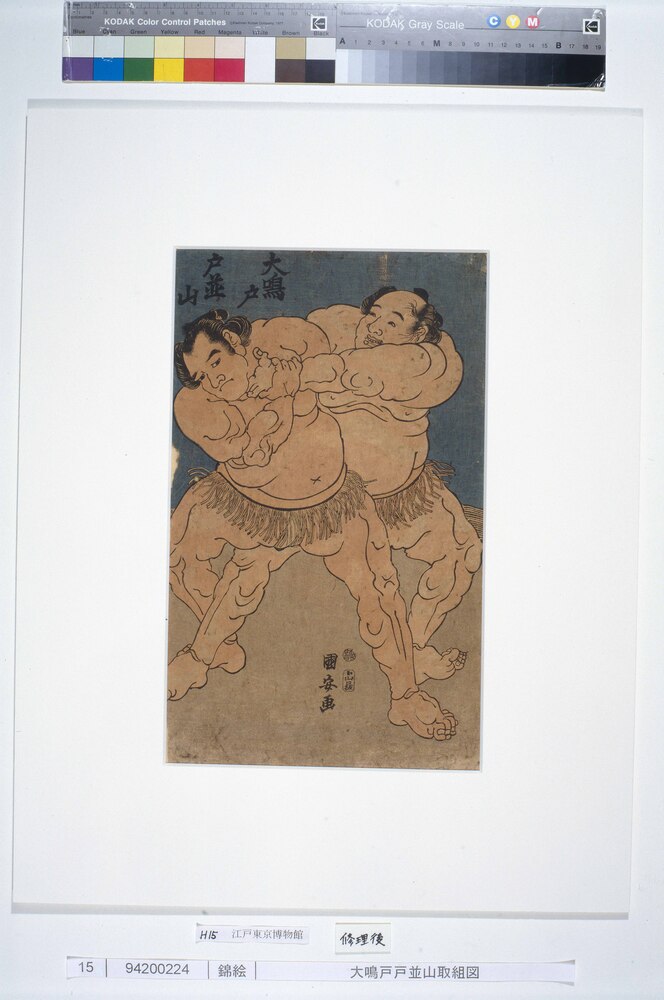 作品画像：大鳴戸戸並山取組図