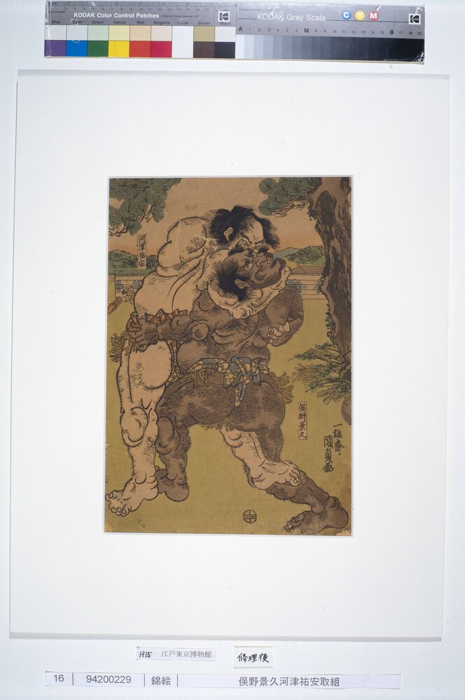作品画像：俣野景久河津祐安取組