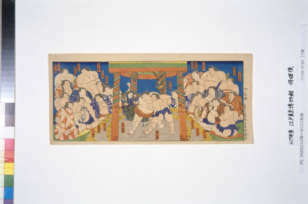 作品画像:梅ヶ谷真鶴取組