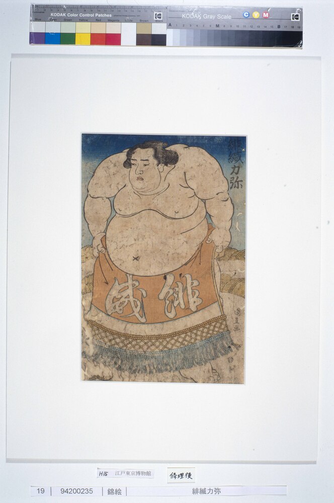 作品画像:緋縅力弥