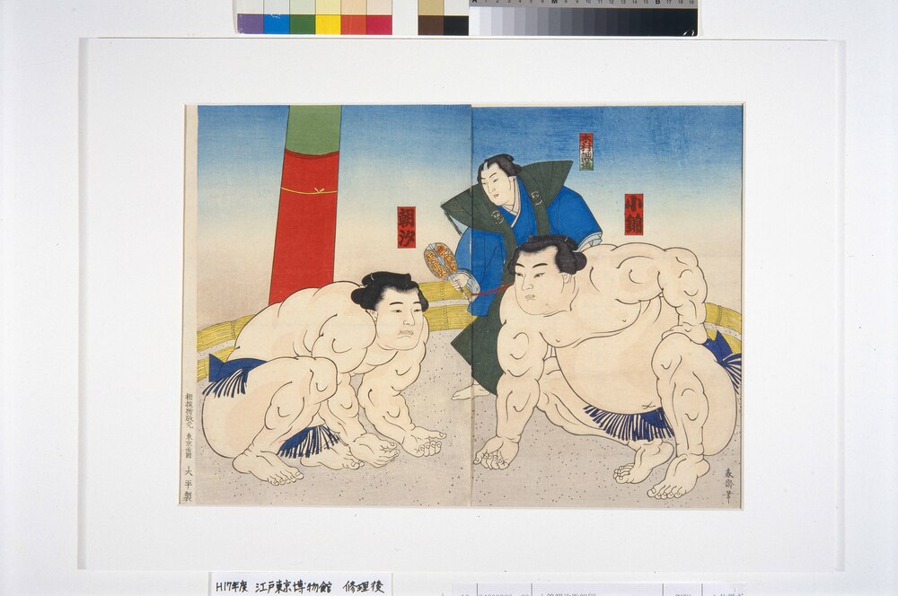 作品画像:小錦朝汐取組図