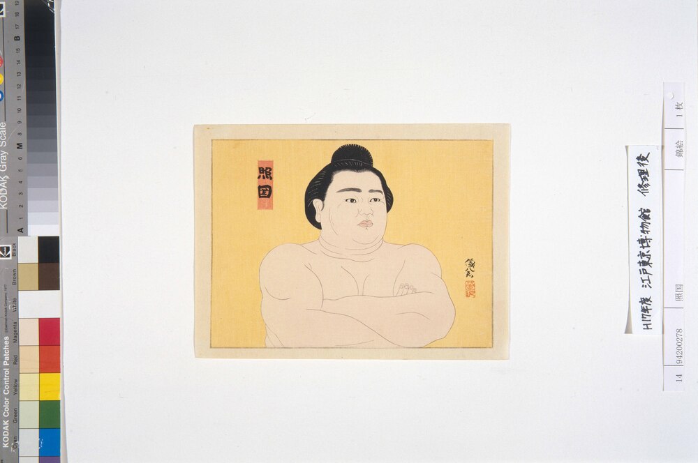 作品画像:照国