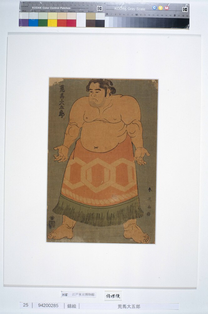 作品画像：荒馬大五郎