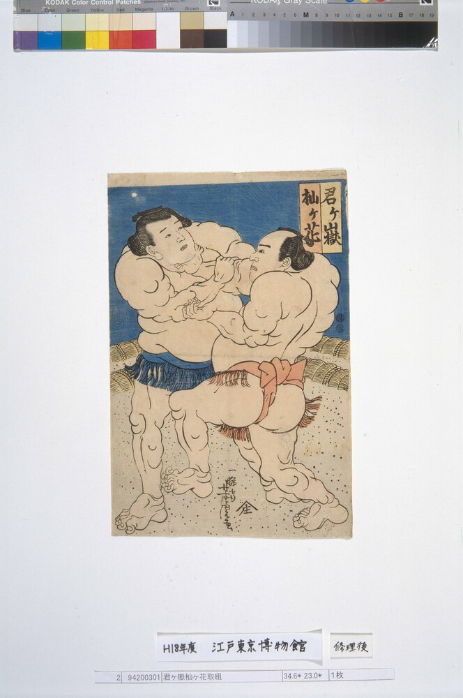 作品画像:君ヶ嶽杣ヶ花取組