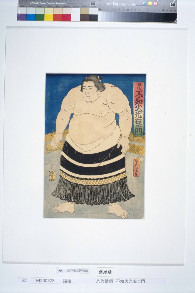 作品画像:八代横綱 不知火光右エ門