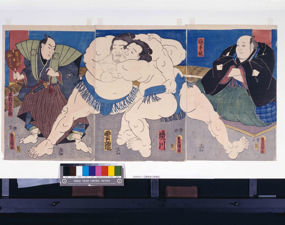 作品画像:雲龍境川取組図